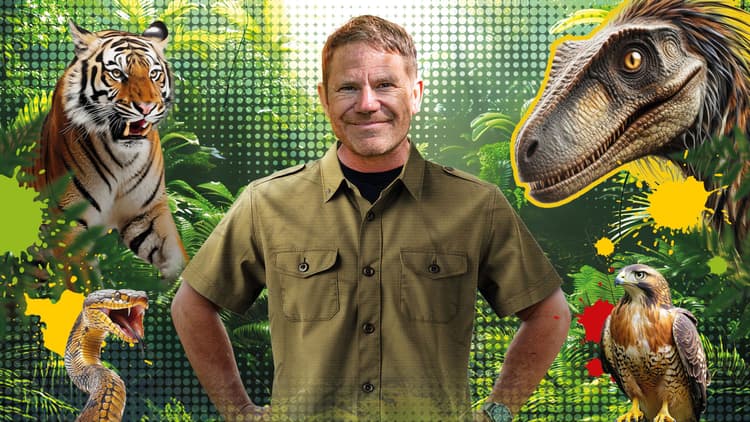 Steve Backshall's Deadly Live!