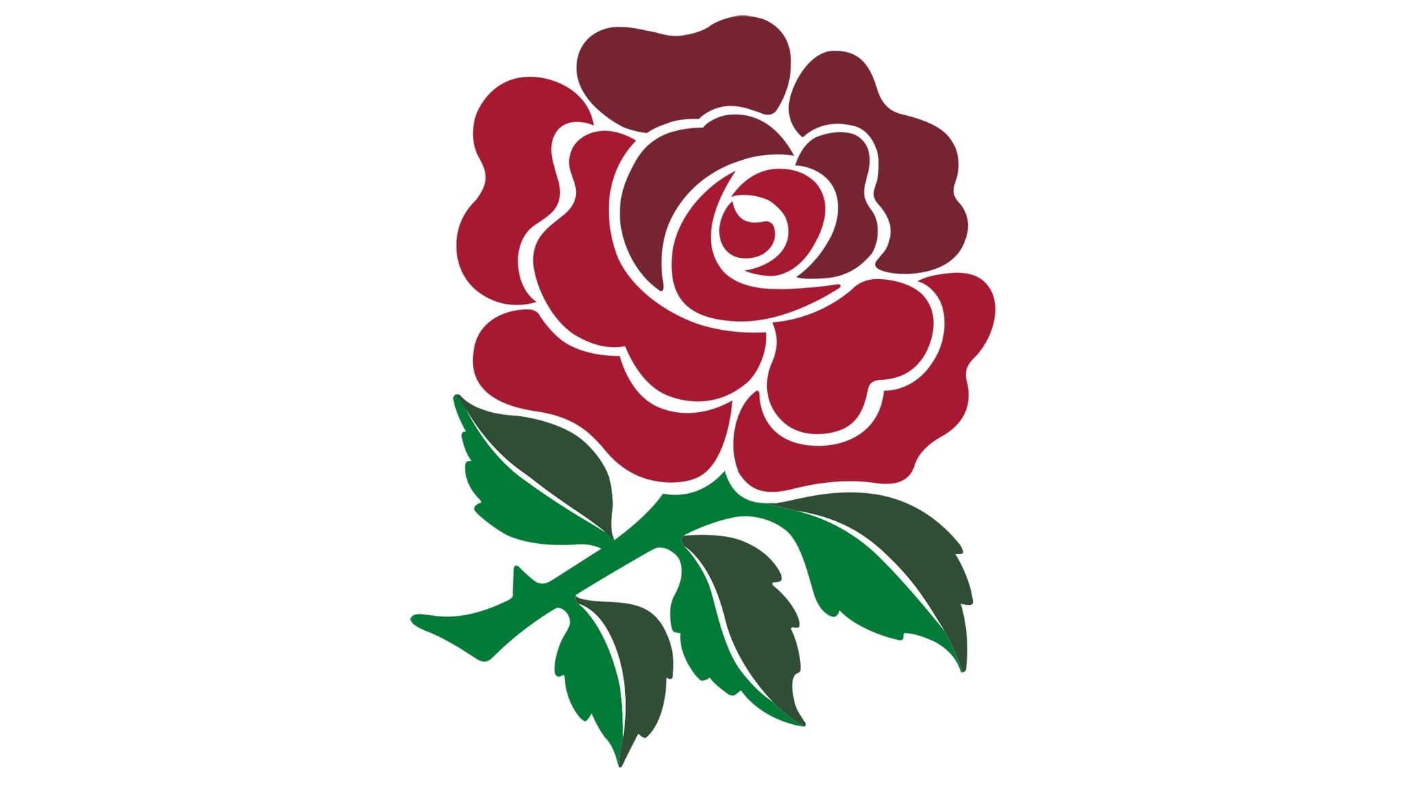 Campeonato de Naciones: Inglaterra contra Nueva Zelanda